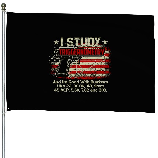 I Study Triggernometry Good With Numbers Gun House Flags