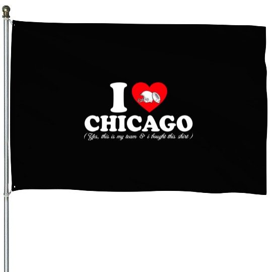Groovy I Love CHICAGO House Flags