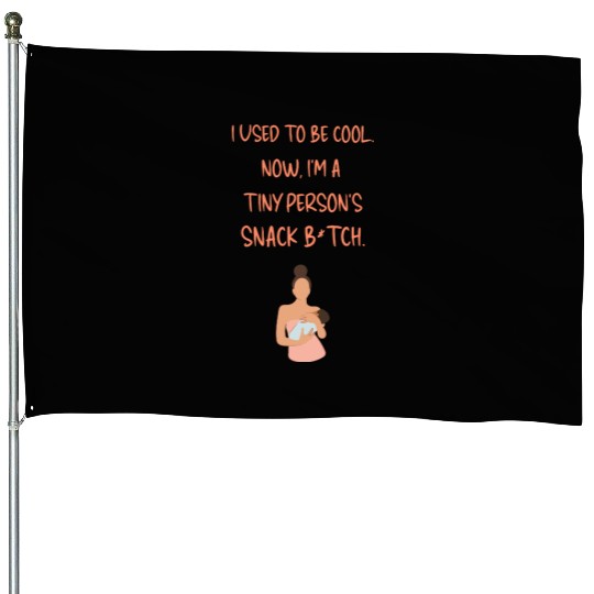 Breastfeeding "I used to be cool. Now, I'm a ..." House Flags