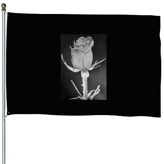 Realistic Graphite Rose & Dew Drawing - RT Art © House Flags