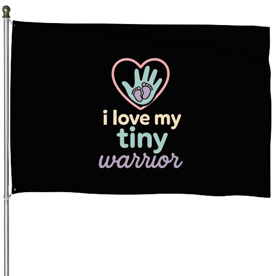 NICU Sibling Preemie Big Brother Big Sister House Flags
