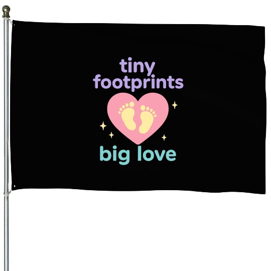 NICU Sibling Preemie Big Brother Big Sister House Flags