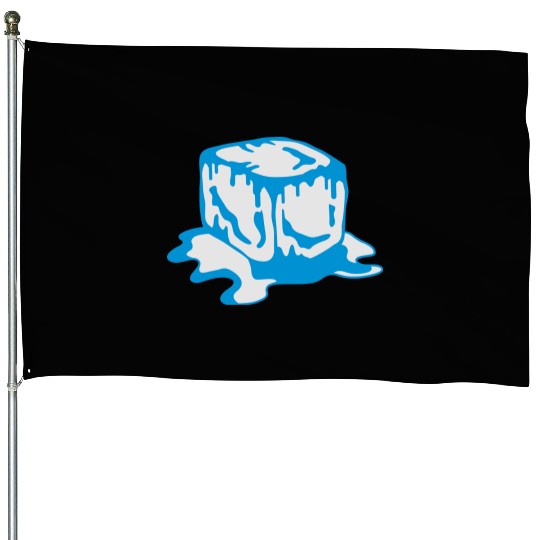 Ice Cube House Flags