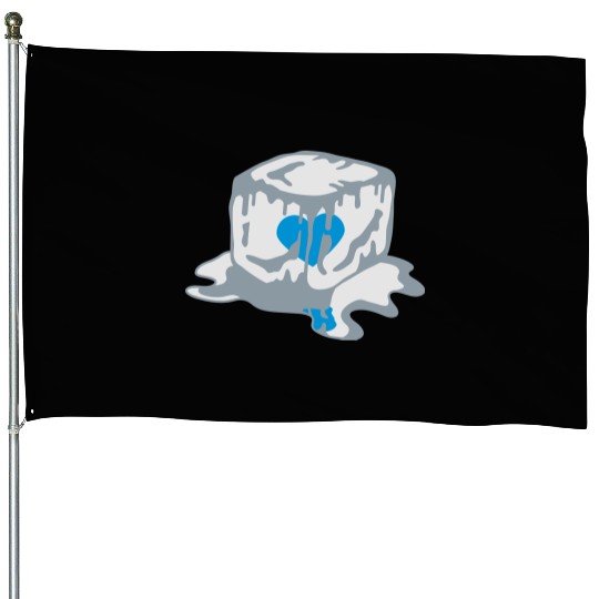 Ice Cube Heart House Flags