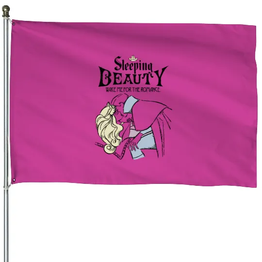 Retro Disney Sleeping Beauty House Flags,