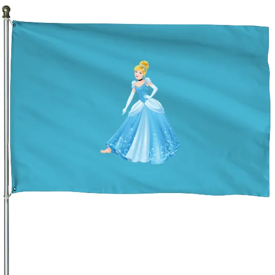 Discover Disney Princess 8 House Flags