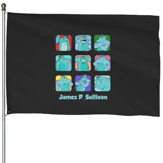 Disney Monsters Inc Sulley Moods House Flags, James P. Sullivan House Flags, Magic Kingdom House Flags
