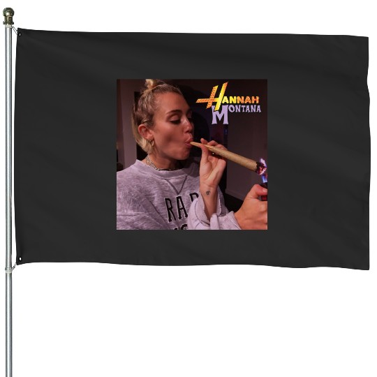Vintage Hannah Montana House Flags, Disney Hannah Montana Logo