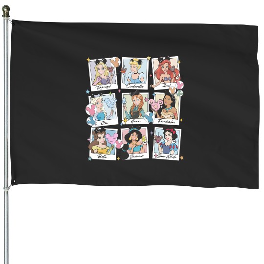 Disney Princess  House Flags, Team Princess House Flags, Disney Polaroid House Flags