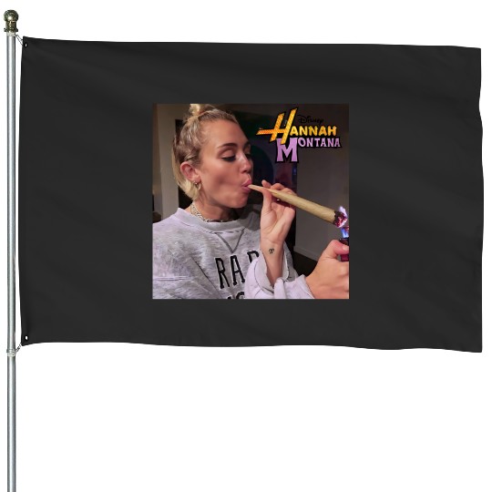 Vintage Hannah Montana House Flags, Disney Hannah Montana Logo