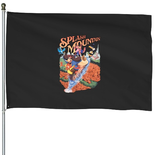 Disneyland Splash Mountain House Flags
