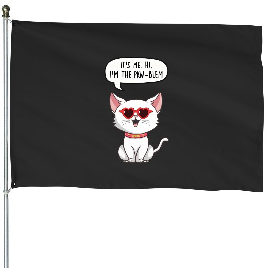 Anti-Hero Taylorr Swift Cat House Flags