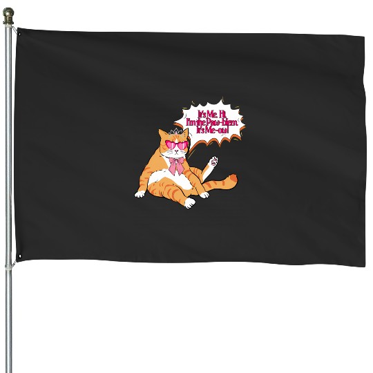 Anti-Hero Cat Taylorr Swift House Flags