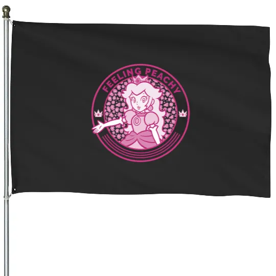 Disney and Pixarss Toy Story Woody Jessie Bullseye House Flags