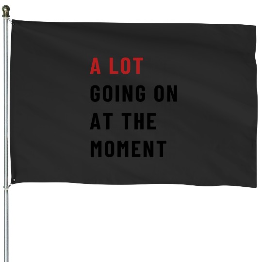 Discover A lot going on at the moment  Eras Tour 22 House Flags