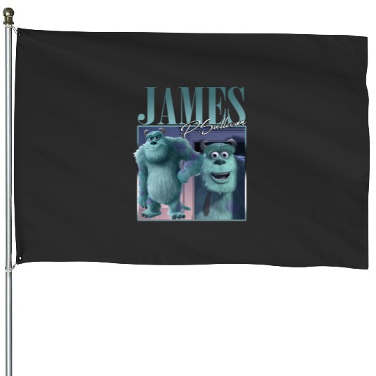 James P.Sullivan Disney Monsters Retro House Flags, Monsters Inc Vintage Style House Flags