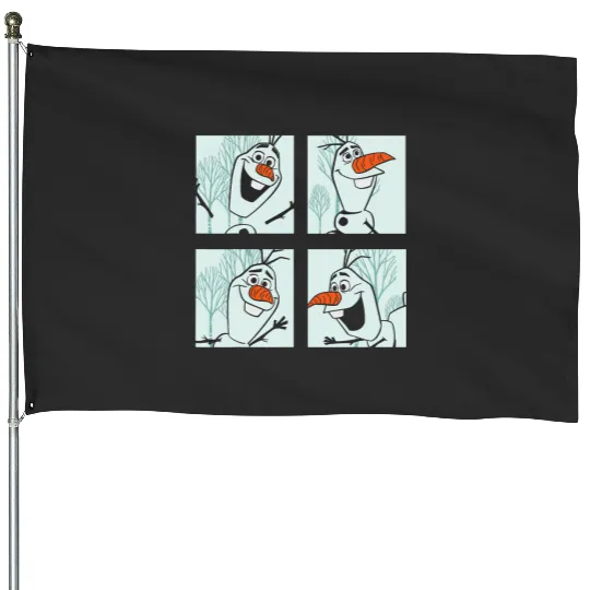 disney frozens 2 Olaf Panels House Flags
