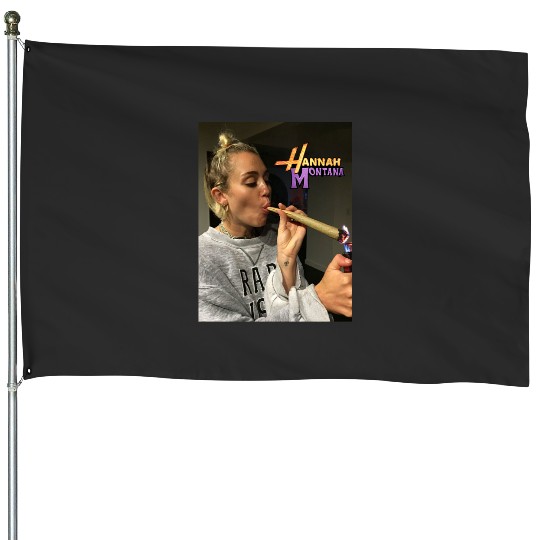 Vintage Hannah Montana House Flags, Hannah Montana Fan House Flags, Disney House Flags