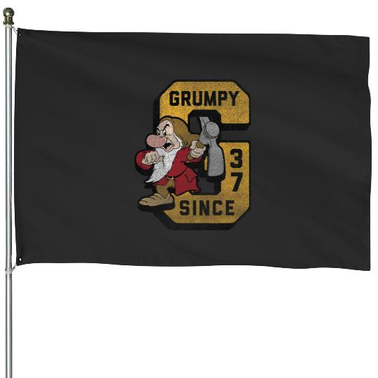 Disney Snow White The Seven Dwarfs Grumpy Collegiate House Flags