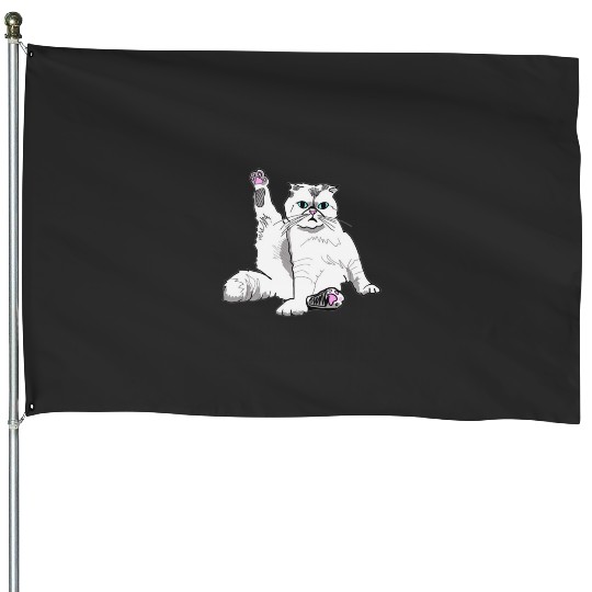 Tayl0r swift Meredith House Flags
