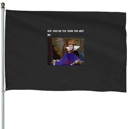 Disney Sleeping Beauty Maleficent Evil Queen Meme T-Shirt House Flags