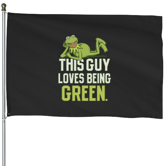 Disney The Muppets This Guy Loves Being Green Retro Kermit House Flags