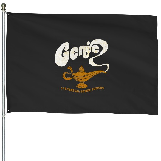 Disney Aladdin Live Action Genie Phenomenal Cosmic Powers House Flags
