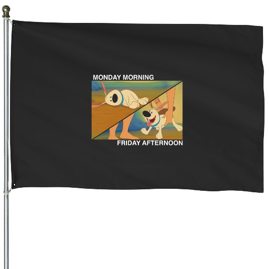 Disney Mulan Little Brother Monday To Friday Meme House Flags