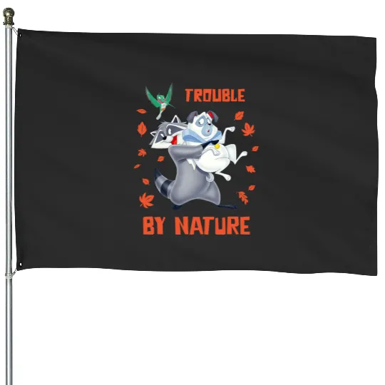 Disney Pocahontas Meeko Percy Flit Trouble By Nature House Flags