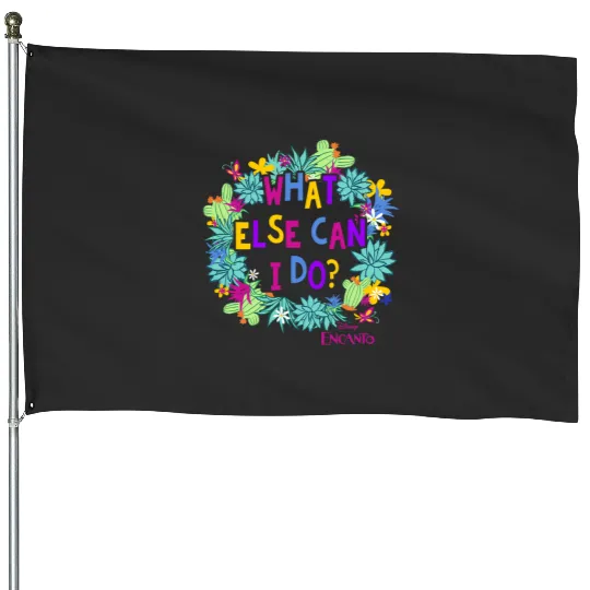Disney Encanto What Else Can I Do House Flags