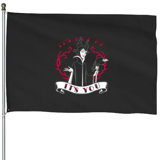 Disney Villains Valentines Maleficent It's Not Me It's You House Flags