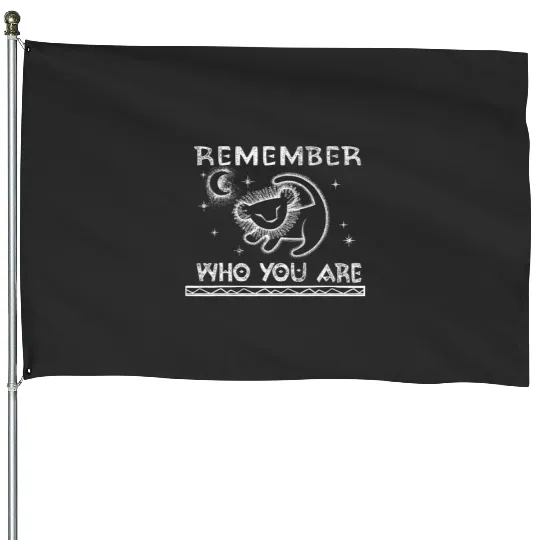 Disney Lion King Remember Who You Are Painting Graphic Tee House Flags