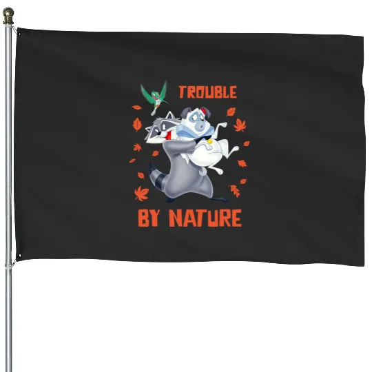 Disney Pocahontas Meeko Percy Flit Trouble By Nature House Flags