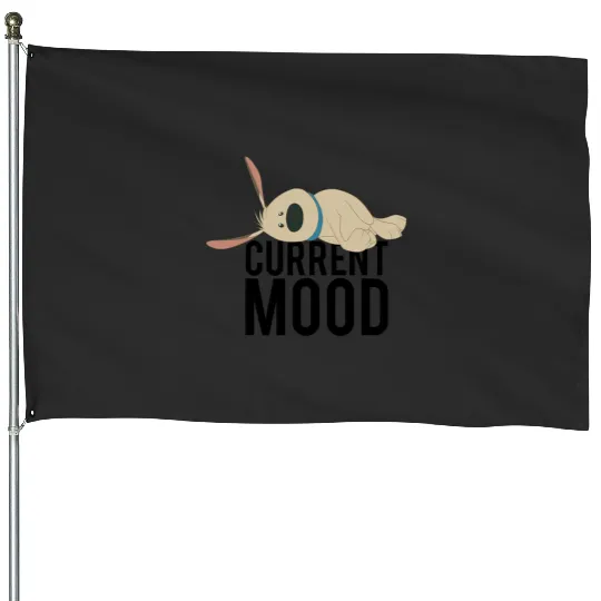 Disney Mulan Little Brother Current Mood House Flags