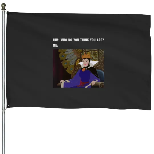Disney Sleeping Beauty Maleficent Evil Queen Meme House Flags