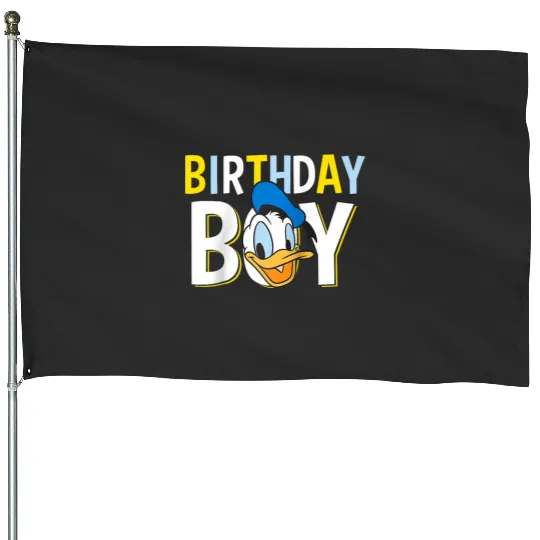 Disney Mickey And Friends Birthday Boy  Donald Duck Raglan Baseball Tee House Flags