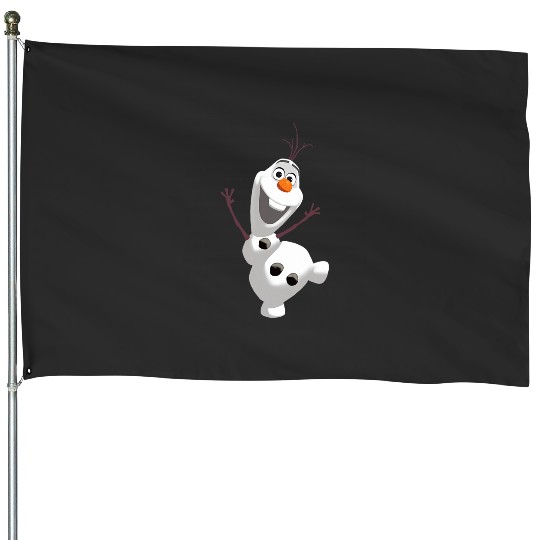 disney frozenss Olaf Warm Hug Boys House Flags