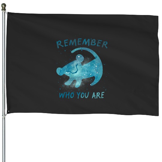 Discover Disney The Lion King Simba Remember Who You Are Splatter House Flags