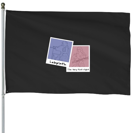 Discover Taylor SwiftThe Eras Tour, Buenos Aires Night One House Flags