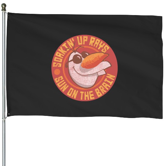 disney frozens Olaf Sun on the Brain Retro House Flags