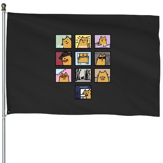 Discover The Eras Tour... But with Cats House Flags