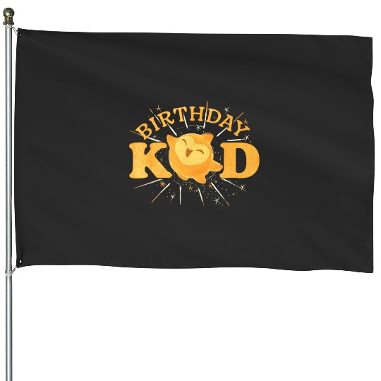 Disney Wish Birthday Kid Golden Star Magical  Logo House Flags