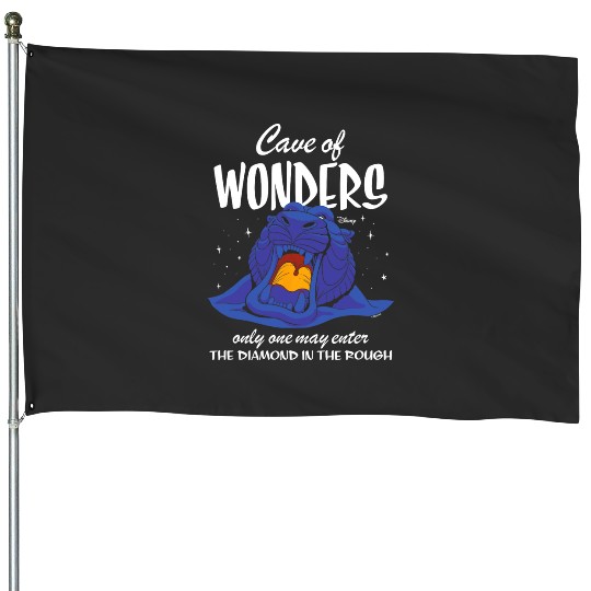 Disney Princess - Cave Of Wonders House Flags