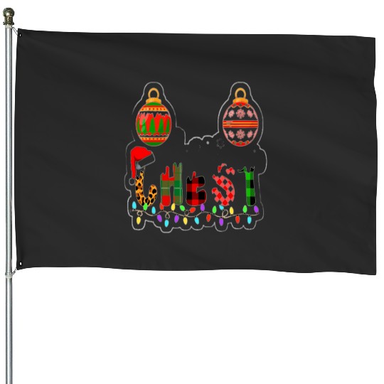 Funny Chest Nuts Couples Christmas Chestnuts Adult Matching    : Mickey Disney Christmas, Disney Christmas House Flags