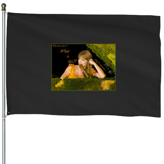 Discover Eras Tour Collection Champagne Problems Speech 1 House Flags