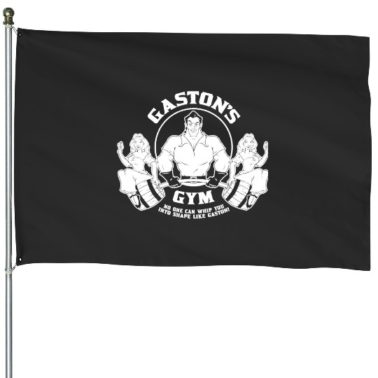 Discover Gaston's Gym   SALE!! : Disney Villains Maleficent , Maleficent Gift S-5XL House Flags