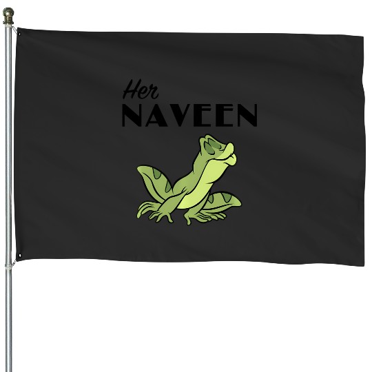 Disney Princess And The Frog Her Naveen Graphic Hoodie House Flags