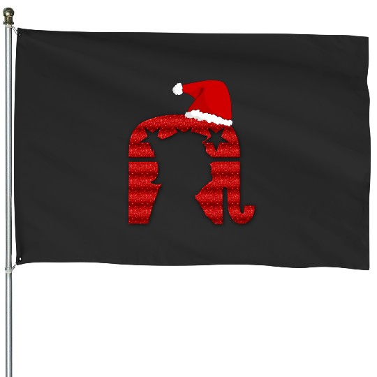 Discover Funny Trump santa Donald hat christmas Funny Christmas gift ideas  : Mickey Disney Christmas, Disney Christmas House Flags