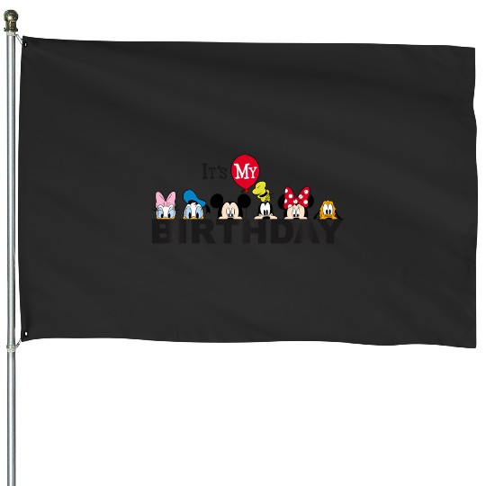 Discover Disney Mickey And Friends It'S My Birthday House Flags