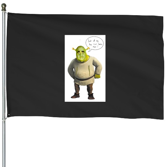 Long nip shrek  1: Shrek Same Swamp Forever , Shrek Shirt, Disney Fiona Princess , Shrek,Shrek House Flags